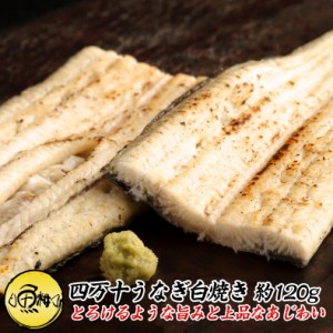 うなぎ 四万十うなぎ 白焼き 約120g  日本最後の清流、四万十川の恵みで育った自慢の鰻  