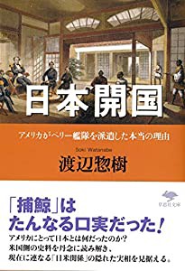 文庫 日本開国: アメリカがペリー艦隊を派遣した本当の理由 (草思社文庫)(中古品)