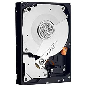 WesternDigital [WD1002FBYS] 内蔵用3.5インチHDD 7200rpm 1TB(中古品)