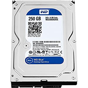 【安心の茶箱梱包仕様】 WD ウエスタンデジタル 内蔵 ハードディスク SATA 3.5インチ 250GB 7200rpm WD2500AAKX(中古品)