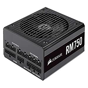 Corsair RM750-2019- 750W PC電源ユニット 80PLUS GOLD PS862 CP-9020195-JP(中古品)