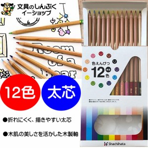 色鉛筆 12色 ZCP-12C シヤチハタ 