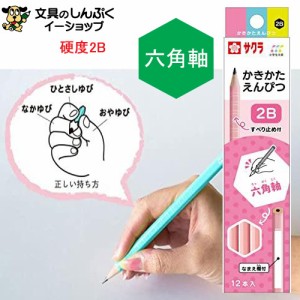 かきかた鉛筆 2Ｂ6角 ピンク 12本セット Ｇ6エンピツ2Ｂ＃20 （ポイント消化） Z