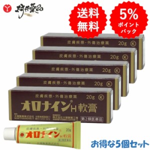 【第2類医薬品】 オロナイン H 軟膏 20g ×5個 皮膚疾患 外傷治療薬 化膿性疾患用薬 大塚製薬