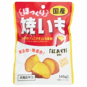  【セット販売】 ほっくり焼いも 45g (×6セット) 藤沢商事 