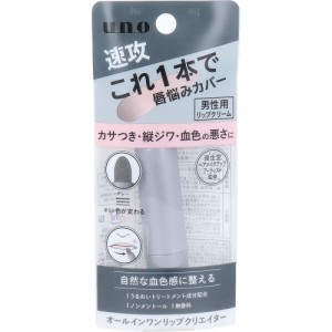 UNO(ウーノ) オールインワンリップクリエイター 2.2g