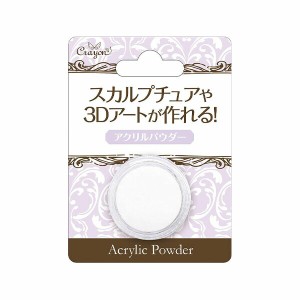 【2セット】アクリルパウダー ホワイト コスメ ビューティー 化粧品 メイクアップ お化粧 旅行 出張 美容グッズ ネイルグッズ 爪 ベース