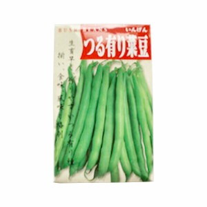 野菜種子 つるありいんげん 園芸 ガーデニング 花 野菜 果物 畑 フラワー 農園 農業 剪定 観葉植物 植木 庭園 自家栽培 菜園 無農薬栽培 