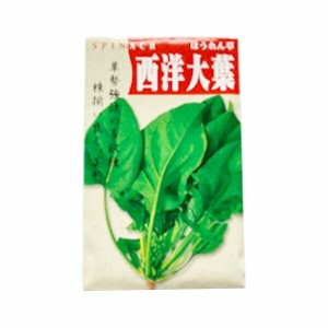 野菜種子 西洋ほうれん草 園芸 ガーデニング 花 野菜 果物 畑 フラワー 農園 農業 剪定 観葉植物 植木 庭園 自家栽培 菜園 無農薬栽培 オ