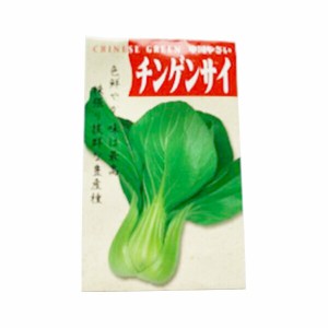 野菜種子 チンゲンサイ 園芸 ガーデニング 花 野菜 果物 畑 フラワー 農園 農業 剪定 観葉植物 植木 庭園 自家栽培 菜園 無農薬栽培 オー