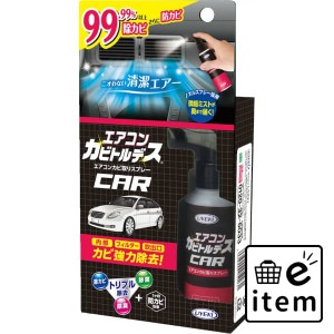 エアコンカビトルデス車用 80ml 日用品 カー用品・自転車用品 カー用品 洗剤 生活雑貨 消耗品 おしゃれ かわいい シンプル 便利 流行 ギ