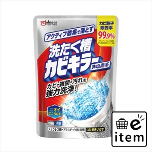 アクティブ酸素で落とす洗濯槽カビキラー２５０Ｇ 日用品 お掃除用品 バス・洗面用 洗濯槽クリーナー 生活雑貨 消耗品 おしゃれ かわいい