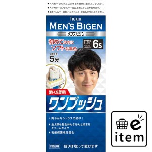 メンズビゲン ワンプッシュ６Ｓ 日用品 ヘアケア・ヘアアレンジ ヘアカラー 男性向け 生活雑貨 消耗品 おしゃれ かわいい シンプル 便利 