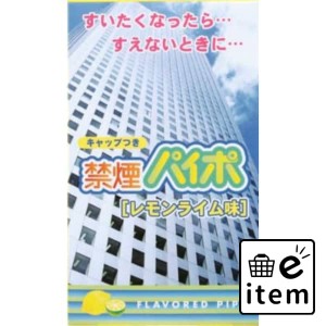 禁煙パイポ レモンライム味 日用品 喫煙用品 パイプ 生活雑貨 消耗品 おしゃれ かわいい シンプル 便利 流行 ギフト プレゼント 買い置き