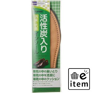 新活性炭男性 ２７．０センチ 日用品 靴用品 中敷き・インソール 生活雑貨 消耗品 おしゃれ かわいい シンプル 便利 流行 ギフト プレゼ