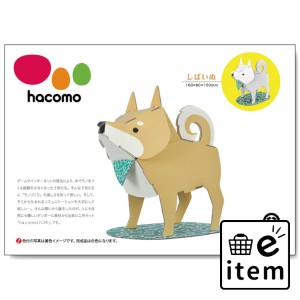 hacomo kids 動物シリーズ しばいぬ ダンボール工作キット  知育玩具・おもちゃ 工作キット 日用品 生活雑貨 消耗品 おしゃれ かわいい 