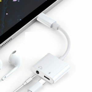 USB C DC3.5mm イヤホン オーディオ アタブター タイプc イヤホン変換 Aux端子 DAC搭載 PD急速充電 音声通話 4極 3極 対応機種iPad Pro 2