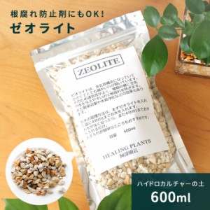 資 ゼオライト 600ml ハイドロカルチャー 植え替え用 用土 根腐れ防止剤 土を使わない 水耕栽培 観葉植物 小型 小さい 室内 贈り物 プレ