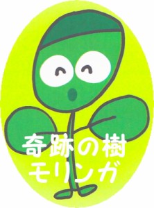 奇跡の樹 モリンガ ポット苗 9cmポット わさびの木 ワサビノキ ハーブ Herb