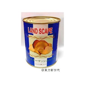 業務用・中国産・LAND SCAPE・オイスターマッシュルーム（ひらたけ水煮）・ホール・２号缶・内容総量850g（固形量454g）！100-23520