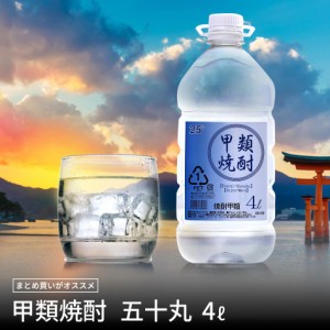 焼酎 4リットル 25度 ケース 甲類焼酎 4l 4本 お買い得 大容量 送料無料 糖質オフ プリン体ゼロ 糖質ゼロ レモンサワー用 梅酒用 果実酒