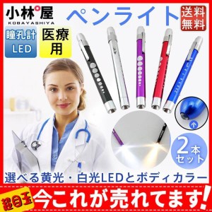 【2本セット】ペンライト 医療用 メディカル ナース用 瞳孔計 LED クリップ式 ナース 小物 グッズ 看護 介護 医療 軽量 握りやすい 黄光