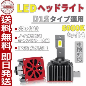 LEDヘッドライト D1S LEDバルブ ホワイト 12V/24V 6000K 2個入 led d1s 純正交換 キャンセラー内蔵 ノイズ対策 アダプティブ無干渉 車検