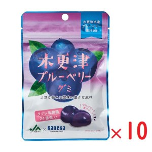 ネコポス カネカ食品 木更津ブルーベリーグミ 果汁グミ ラブレ乳酸菌入り 40g×10袋 グミ 人気 大容量