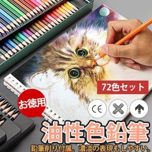 色鉛筆 鉛筆 油性 スケッチ 72色セット カラーペン 高品質 お絵かき 色えんぴつ 文具 塗り絵 漫画 プレゼント 入学 卒業 誕生日 祝い 文