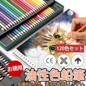 色鉛筆 鉛筆 油性 スケッチ 120色セット カラーペン 高品質 お絵かき 色えんぴつ 文具 塗り絵 漫画 プレゼント 入学 卒業 誕生日 祝い文