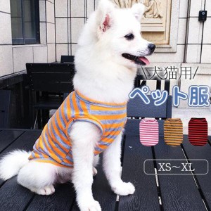 犬の服 犬服 シンプル Tシャツ ボーダー 春 夏 秋 冬 デイリー 部屋着 かわいい カジュアル 犬 服 パーカー ドッグウェア ペットウェア 