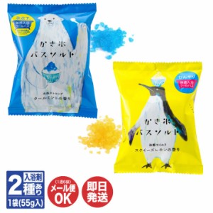 かき氷バスソルト 冷感ストロング / 冷感マイルド (1袋55g入) 2種あり 【チャーリー 入浴剤 ミント メンソール プチギフト 退職 送別会 