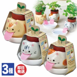 聖新陶芸 Peropon cats (ペロポンキャッツ) 3種あり(サバトラ 茶トラ ミケネコ )【栽培キット ハーブ 観葉植物 プチギフト 退職 送別会 