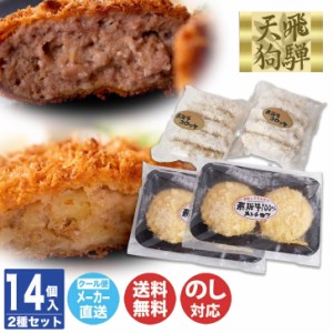 飛騨天狗 飛騨牛 味わいセット(SPT-241)【岐阜 飛騨 牛 牛肉 ブランド牛 コロッケ メンチカツ 名物 名産品  御中元 御歳暮 内祝 御祝 お