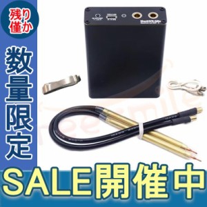 送料無料 スポット溶接機 DIY 小型 ミニ ポータブル ハンドヘルド溶接ペン ニッケル シート 歯車職人 初心者のための充電ケーブルで調整