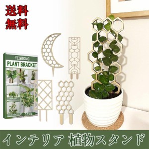 植物支柱 植物 30cm 支柱 スタンド 設置簡単 庭 プランタートレリス 園芸 ガーデニング用品 植木鉢 観葉植物 花鉢 送料無料