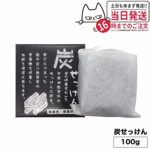 【国内正規品】 地の塩社 炭せっけん (炭石鹸)  100g 薬用炭配合 石けん せっけん 送料無料