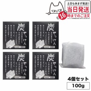 【4個セット 国内正規品】 地の塩社 炭せっけん (炭石鹸)  100g 薬用炭配合 石けん せっけん 送料無料