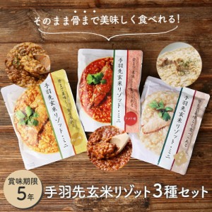 非常食セット 保存食セット 非常食 保存食 防手羽先玄米リゾット ３種セット 防災 防災グッズ 非常食 おすすめ レトルト ５年 3日分 防災