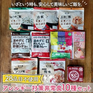 非常食セット 非常食 保存食 アレルギー 対策 食物アレルギー ２８品目 不使用 非常食 １０種セット お菓子 安心米 アルファ米 3日分 ５