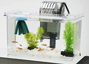 金魚 水槽 仕切りの通販 Au Pay マーケット