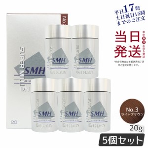 【5個セット】ルアン スーパーミリオンヘアー No.3 ライトブラウン 20g 薄毛 隠し 粉 透けない 微細パウダー 男女兼用