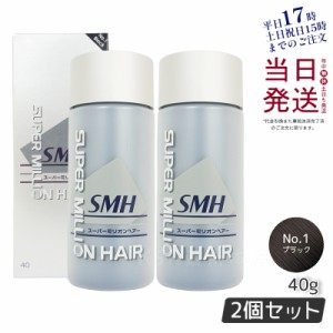 【2個セット】ルアン スーパーミリオンヘアー No.1 ブラック 40g 薄毛隠し 白髪隠し 男性用 女性用 薄毛 白髪 円形脱毛症 対策 頭皮 分け