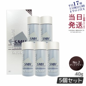 【5個セット】ルアン スーパーミリオンヘアー No.2 ダークブラウン 40g 薄毛隠し 白髪隠し 男性用 女性用 薄毛 白髪 円形脱毛症 対策 頭