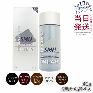 ルアン スーパーミリオンヘアー 40g 薄毛隠し 白髪隠し 男性用 女性用 薄毛 白髪 円形脱毛症 対策 頭皮 分け目 生え際 粉 透けない 微細