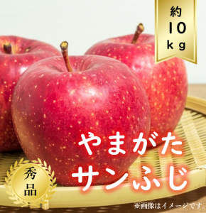 【送料無料】りんご サイズおまかせ約10ｋｇ 秀品 R6年度先行予約商品