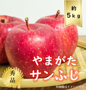 【送料無料】りんご サイズおまかせ約5ｋｇ 秀品 R6年度先行予約商品