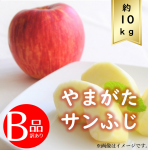 【送料無料】りんご サイズおまかせ約10ｋｇ B品 訳あり R6年度先行予約商品