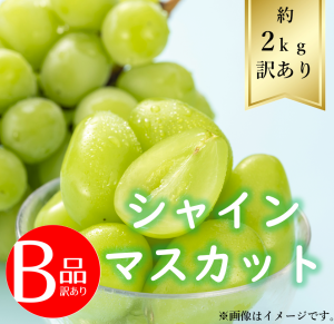 【送料無料】シャインマスカット約2ｋｇ B品 R6年度先行予約商品