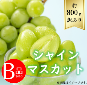 【送料無料】シャインマスカット約800ｇ B品 R6年度先行予約商品